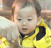 20190319153715.gif